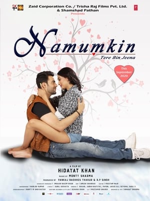 Namumkin Tere Bin Jeena 2020 Movie [740MB]